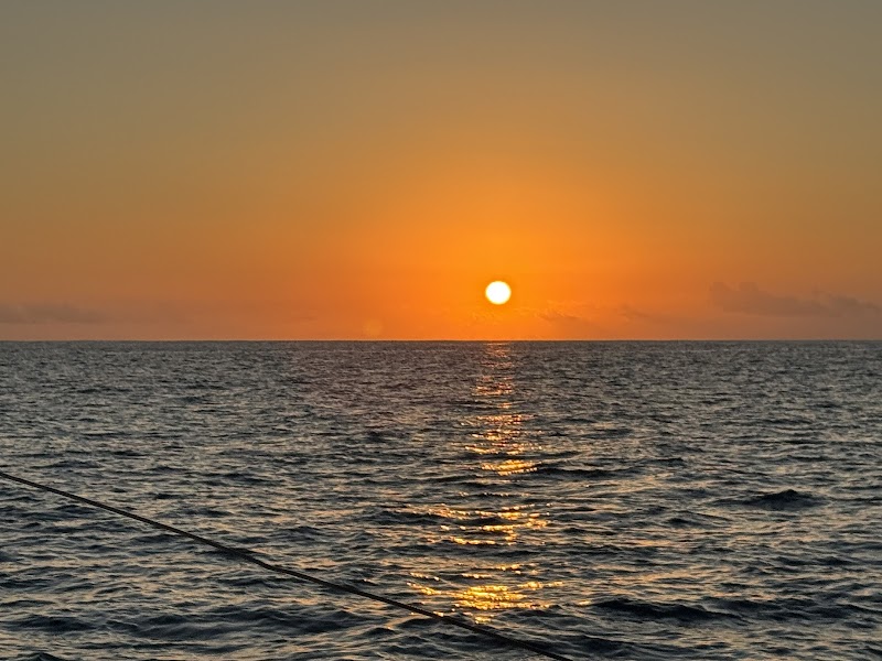 MANA Cruises + Charters cover image