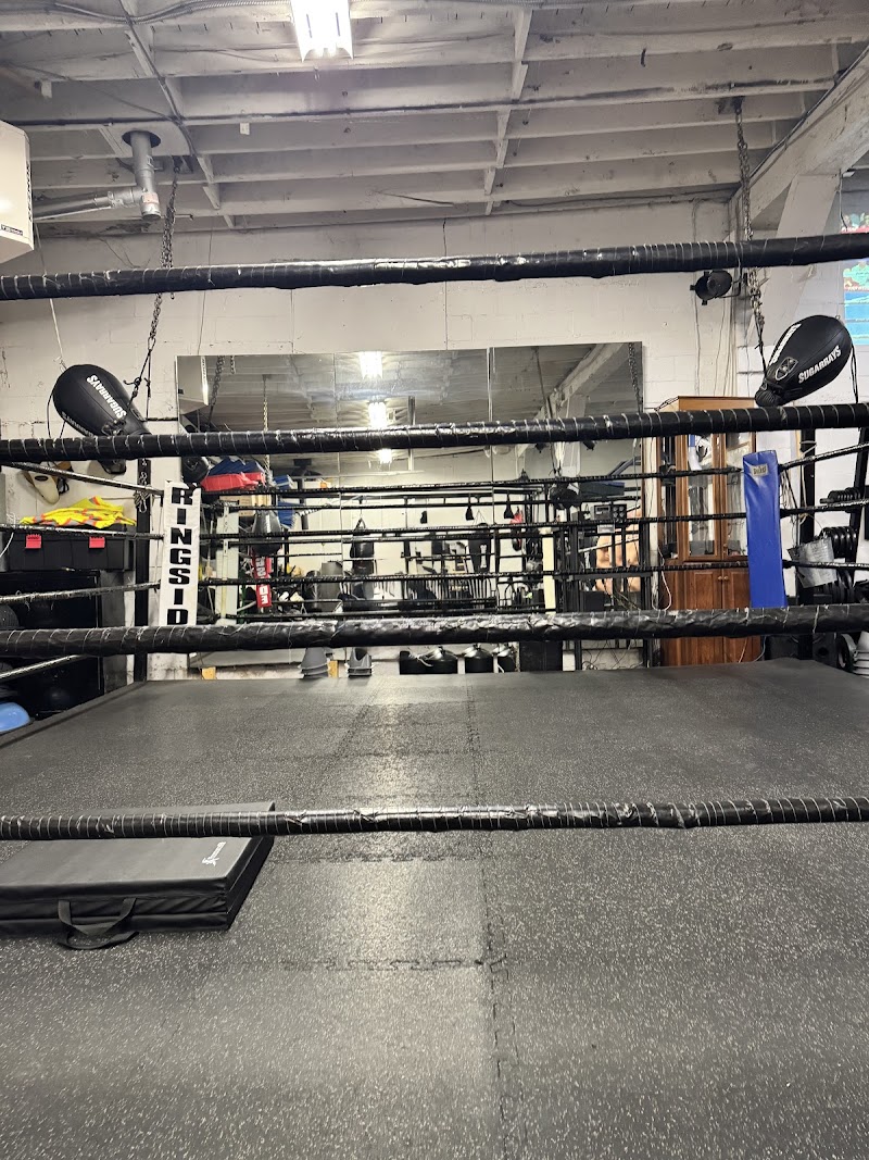 Sugarrays cover image