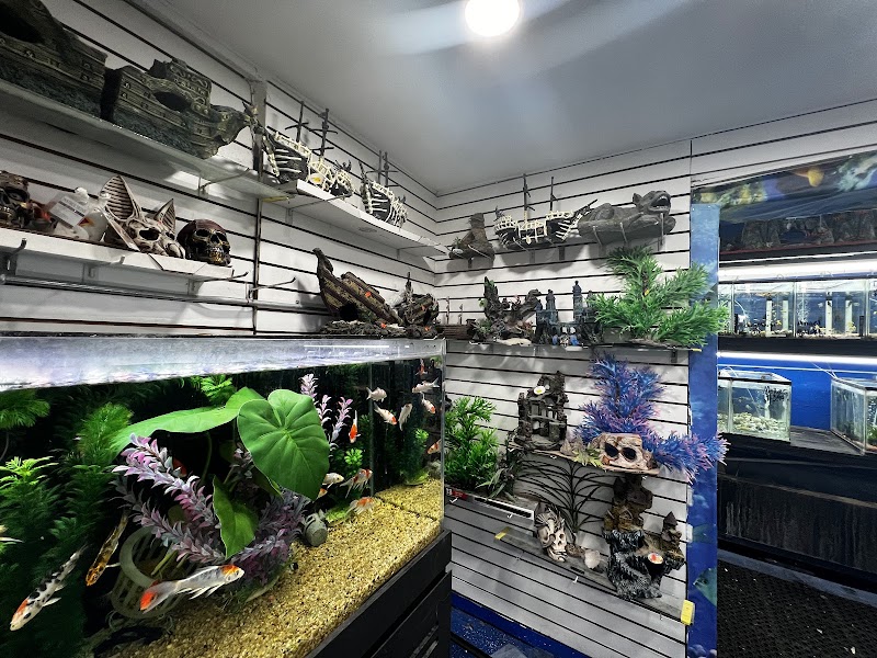 Elias Pet Shop cover image