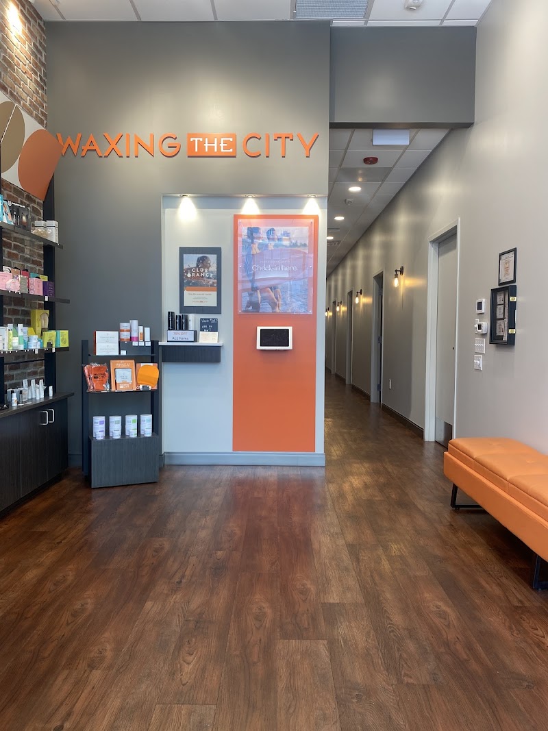 Waxing the City cover image