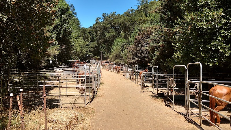 Piedmont Stables cover image