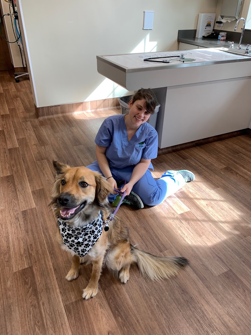 VCA Country Oaks Animal Hospital cover image