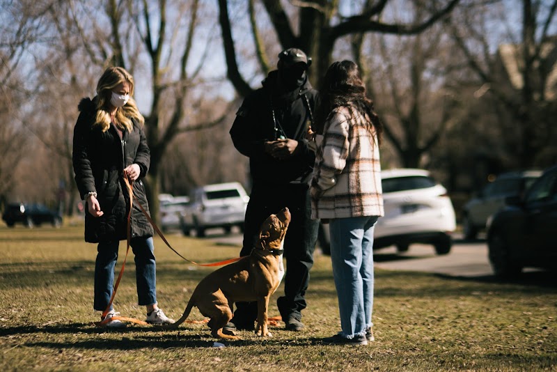 K9 Vision at the DLC cover image