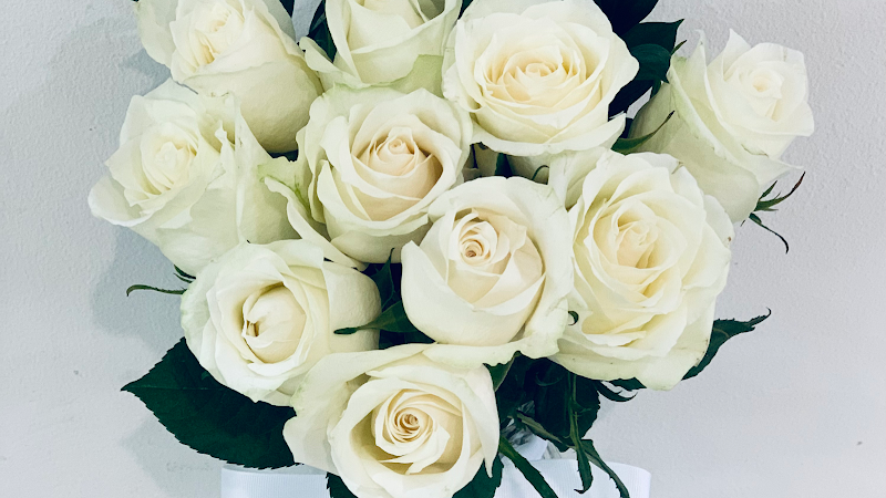 Alyssiums Florist : Adelaide Flower Deliveries cover image