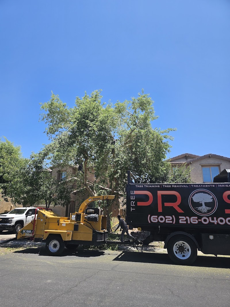 PROS Tree & Landscape, LLC cover image