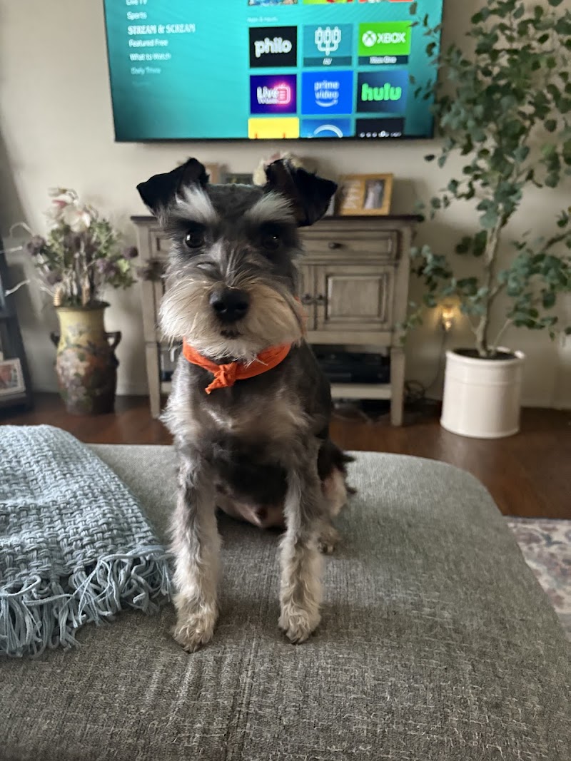 Bark Park Doggy Daycare & Grooming cover image