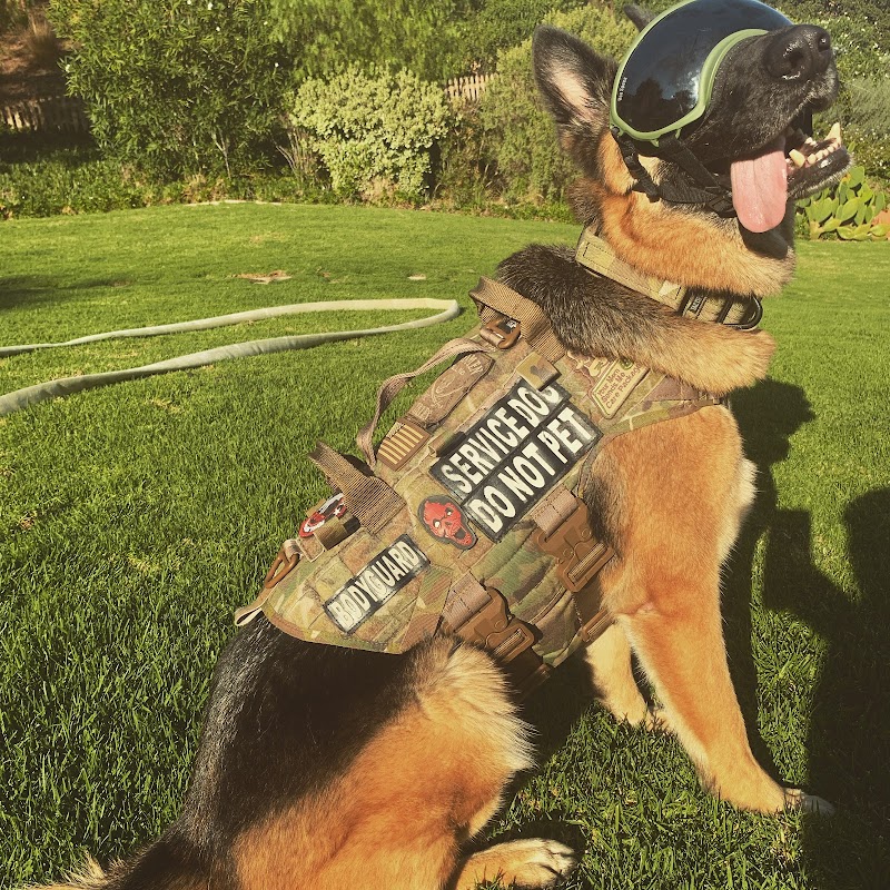 Rooby-Doo Canine Academy cover image