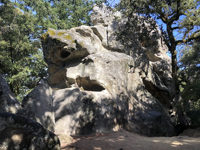 Castle Rock State Park cover image