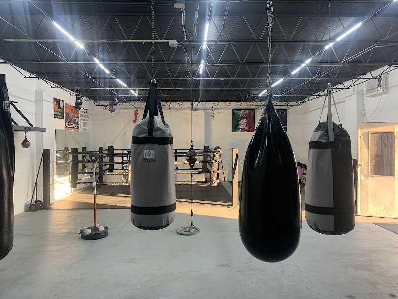 Team Quality Boxing Academy cover image