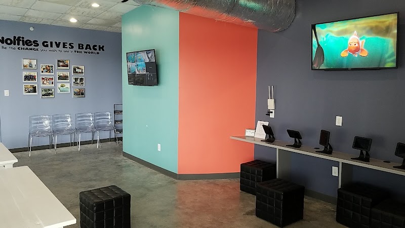 Wolfies Swim School cover image