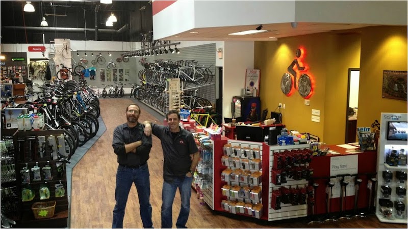 Planetary Cycles cover image