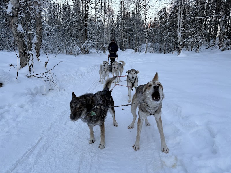 Salmon Berry Travel & Tours cover image