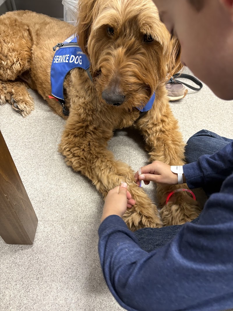 Dog Training Elite Austin cover image