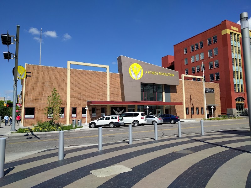 Fly Fitness (NOLNK) cover image