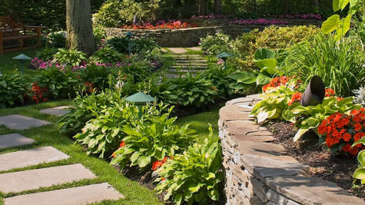 Four Seasons Nursery cover image