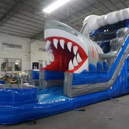 C & J Jumpers bounce house and waterslide rentals cover image