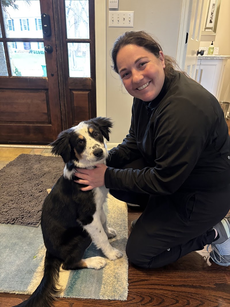 Beyond the Dog cover image