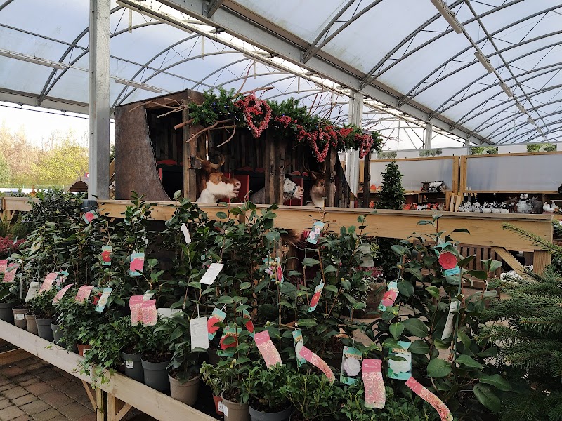 Mortonhall Garden Centre cover image