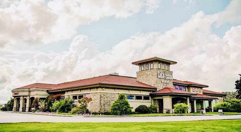 LuLu Island Winery cover image