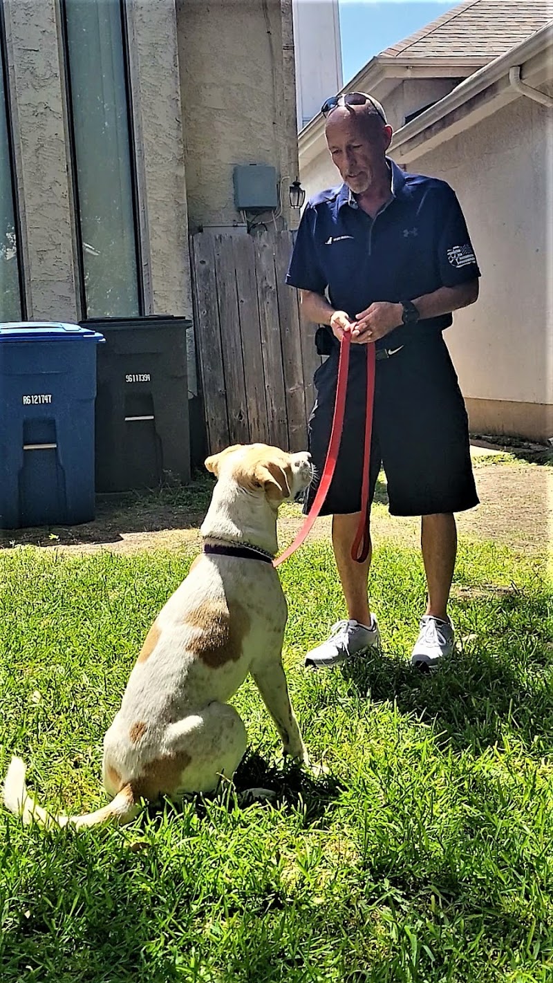 TP's Dog Training of San Antonio cover image