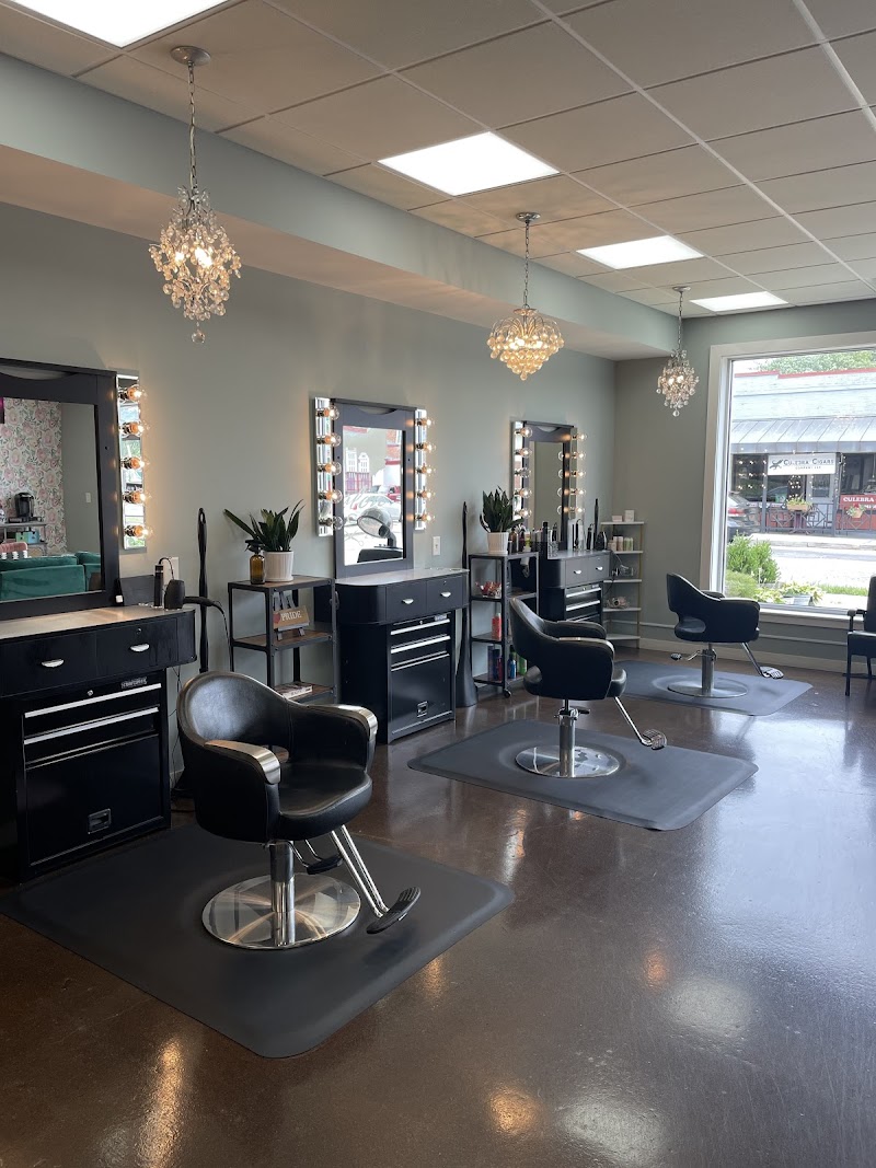 Salon Local cover image