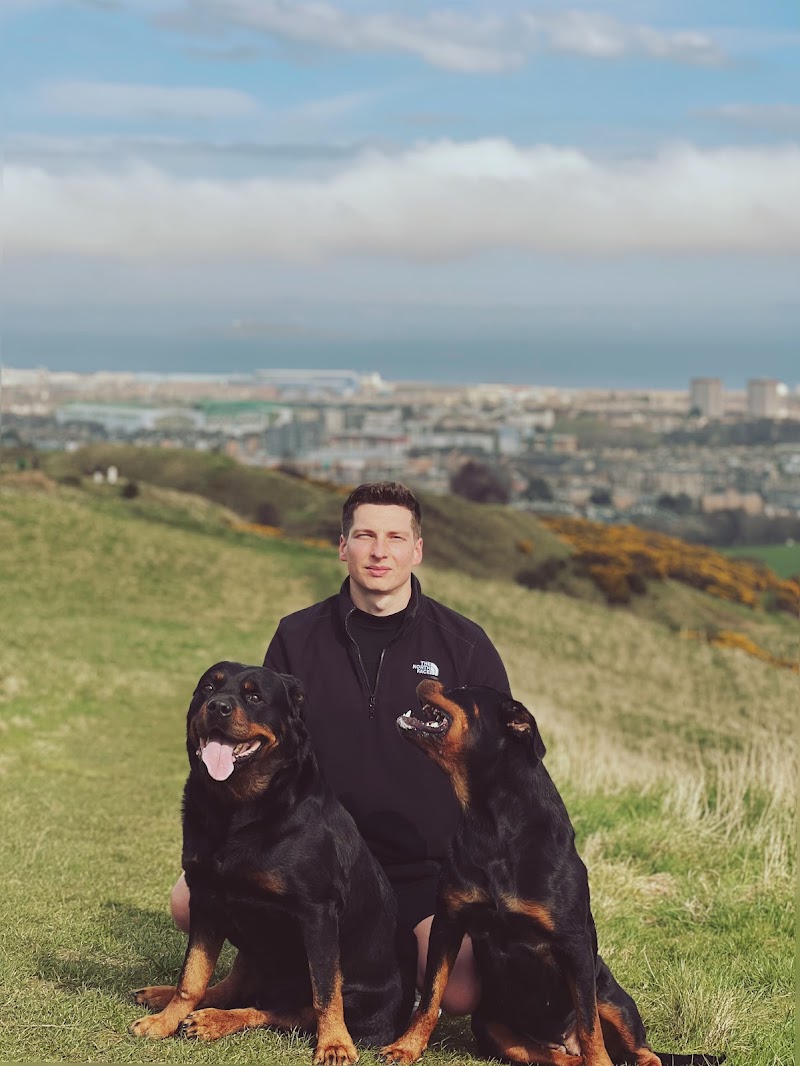 The Dog Life cover image