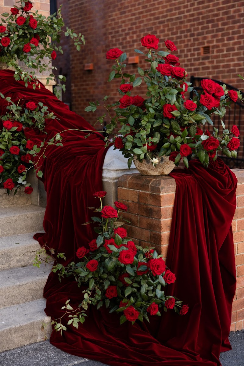 Ravella Newcastle cover image