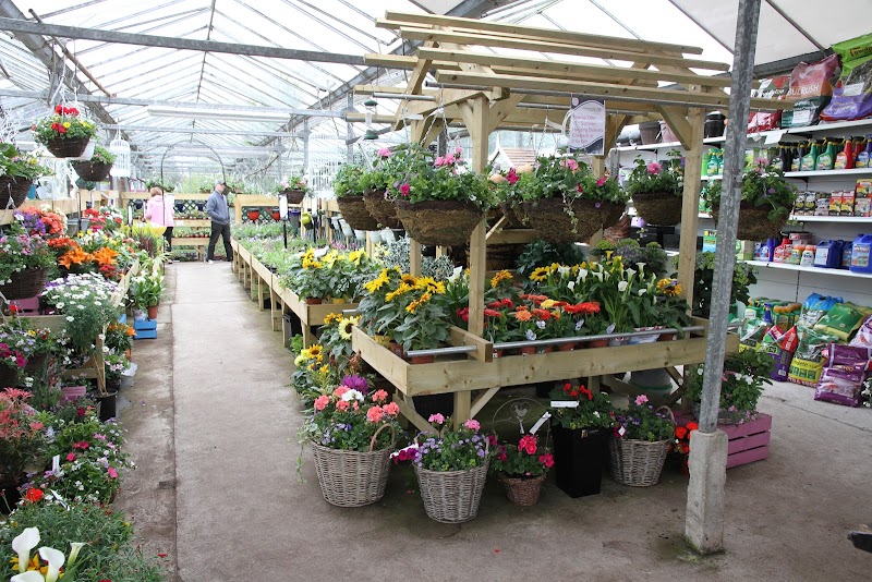 Dundonald Nurseries cover image
