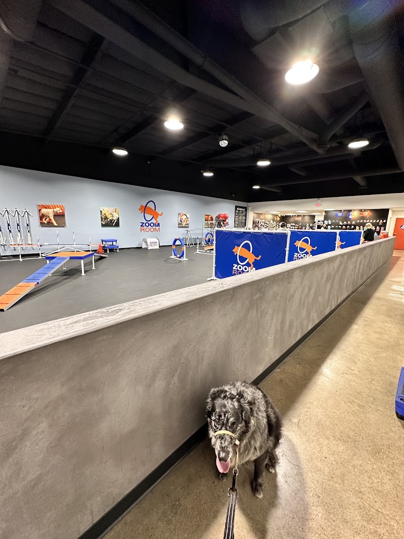 Zoom Room Dog Training cover image