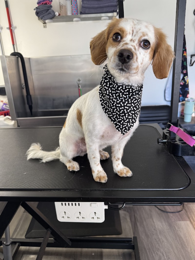 The Pet Parlor cover image