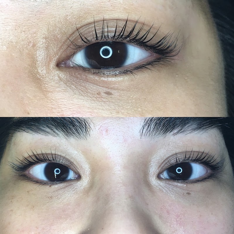 Wax Haven cover image