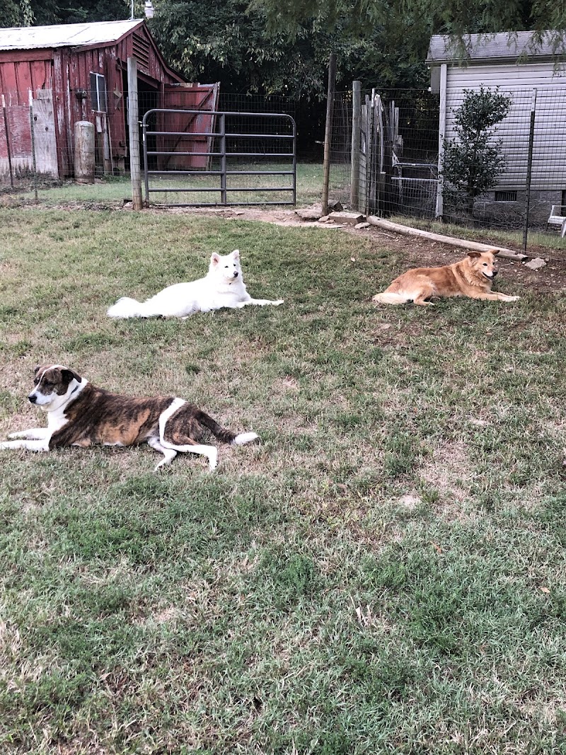 Bartlett Pet Sitters cover image