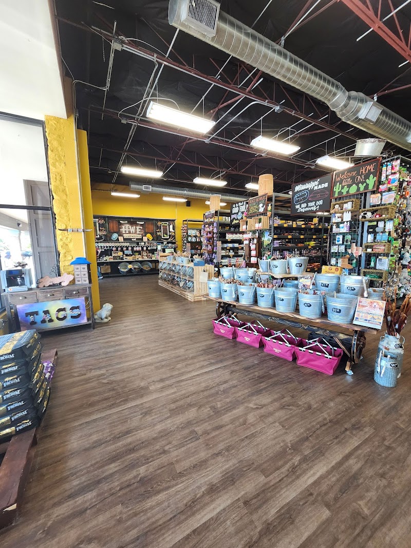 Hollywood Feed cover image