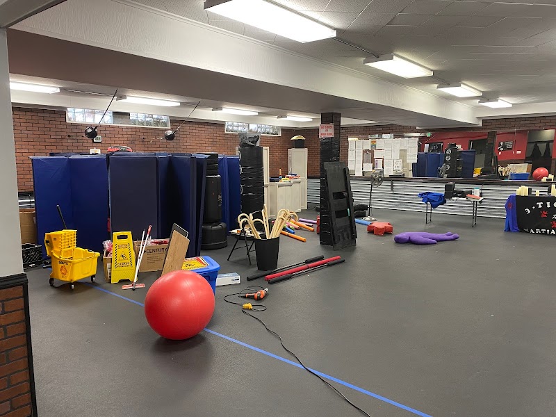 3 - Tigers Martial Arts cover image