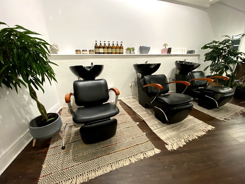 Blow Drys @ The Salon Venice cover image