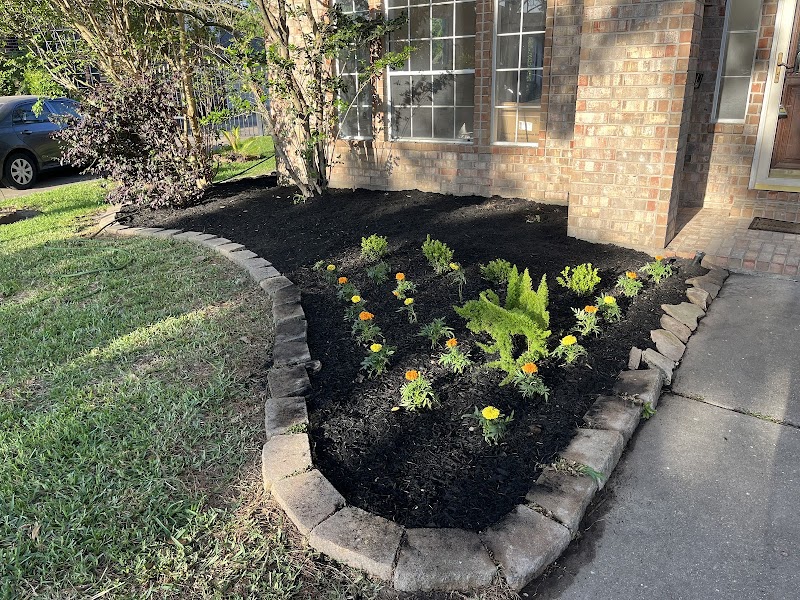 Ventura Landscape cover image