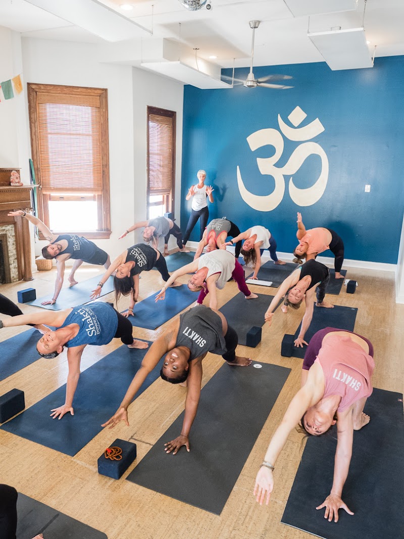 Shakti Power Yoga cover image