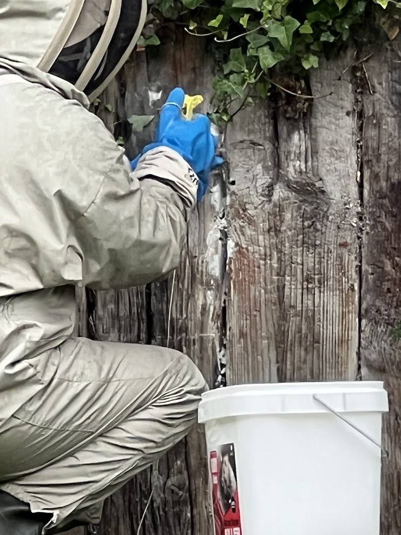 Antrim Pest Control- Low Cost cover image