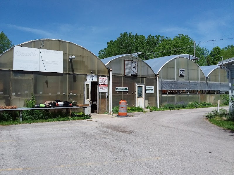 Bensell Greenhouse cover image