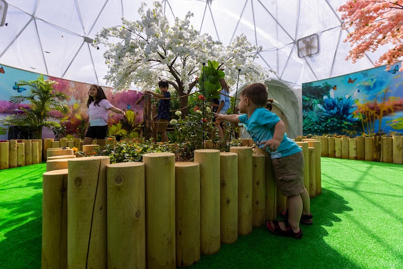 BFLY Québec cover image