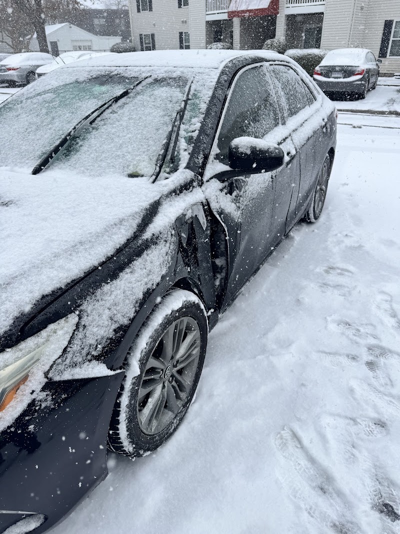 Bay Old Dominion Collision Center cover image