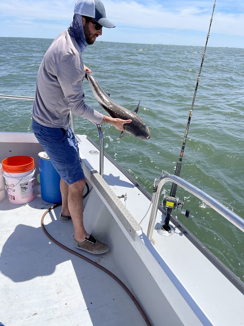 Captain Hogg's Charters cover image