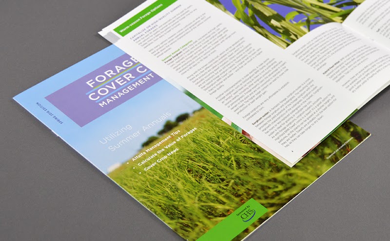 myheartcreative cover image