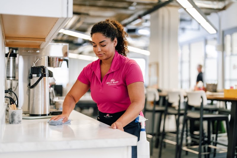 Molly Maid of East Phoenix and Paradise Valley cover image