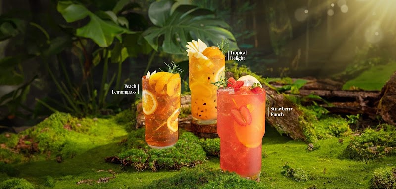 Leaf Teahouse West Central cover image