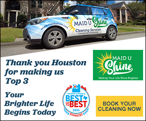 Maid U Shine cover image