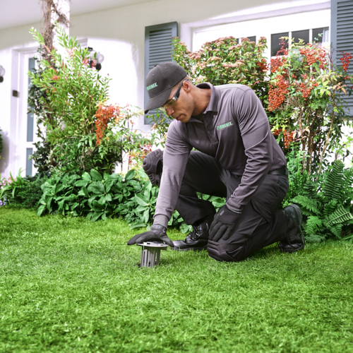 Terminix cover image