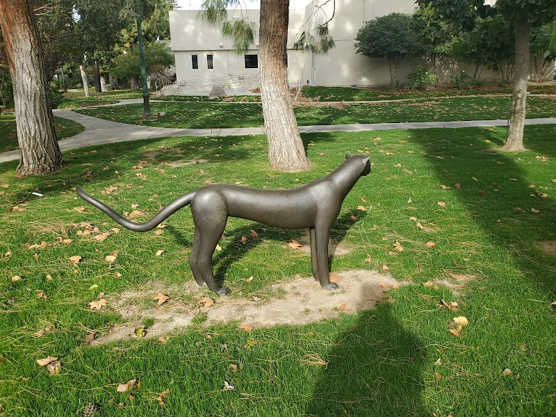 Bakersfield Museum of Art cover image