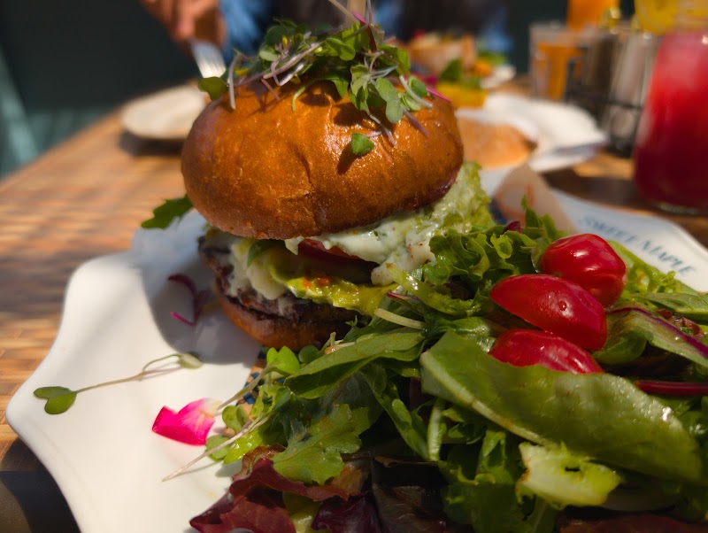 Sweet Maple cover image