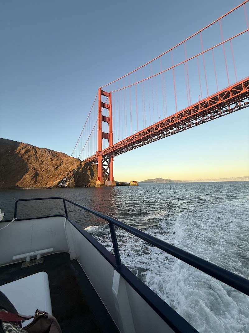 Blue & Gold Fleet cover image